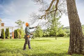 Best Tree Maintenance Programs  in Beechwood Trails, OH