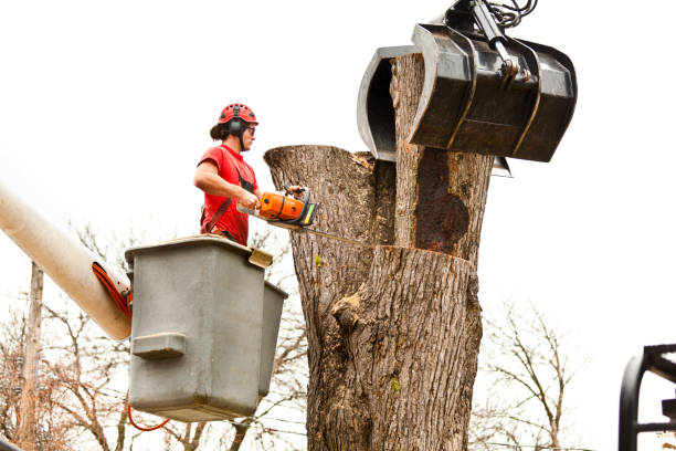 Mulching Services in Beechwood Trails, OH